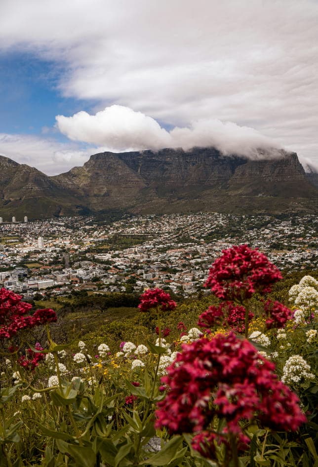 Table Mountain Cape Town panoramic view, iconic flat-topped mountain landmark