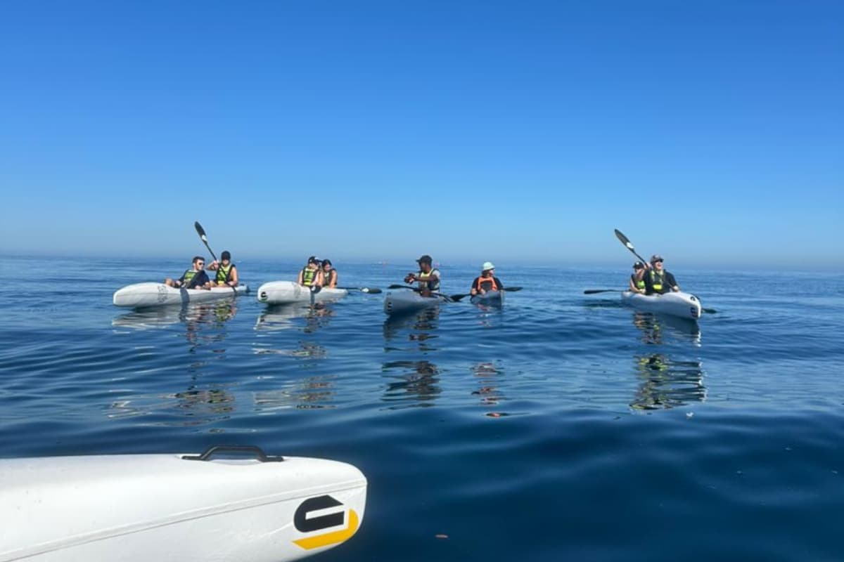 Adventure experience in South Africa - scenic view showcasing adventure activities