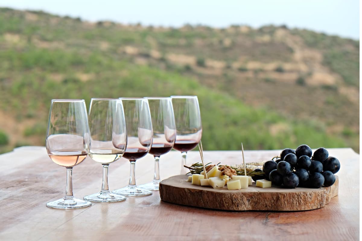 Cuisine experience in South Africa - scenic view showcasing cuisine activities