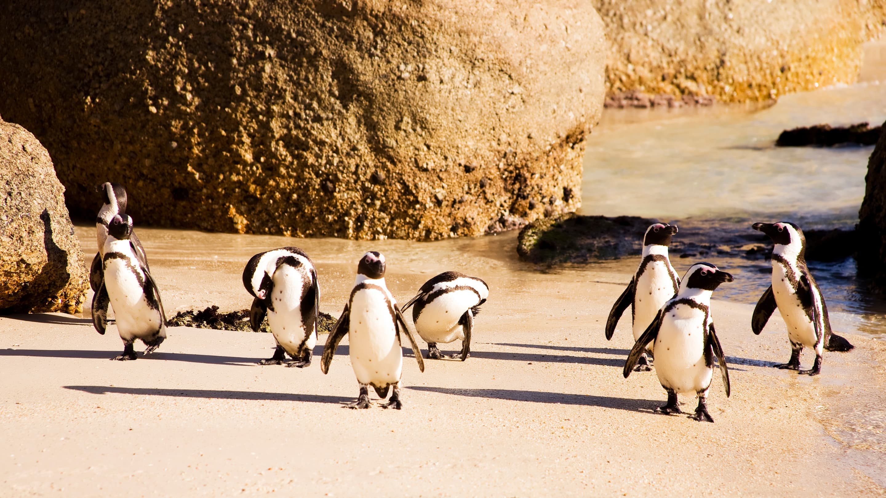 Nature experience in South Africa - stunning landscape showcasing nature adventures and destinations