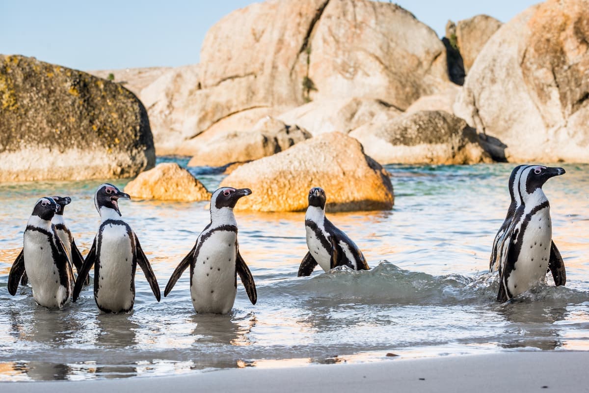 Nature experience detail - authentic nature activities in South Africa